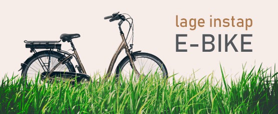 Aldo Lage instap E-Bike