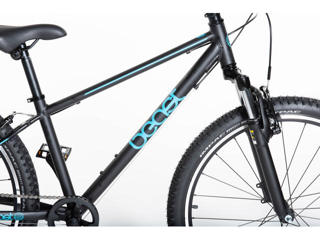 Beast 26" 