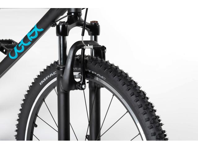 Beast 26" 