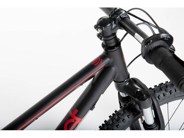 Beast 24" 