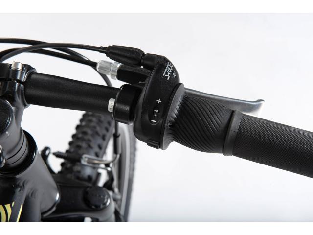 Beast 20" 